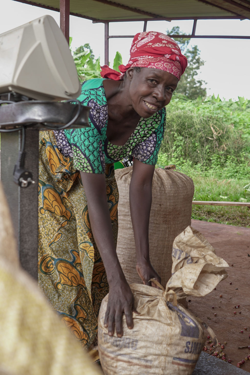 Rwandan coffee farmers working at Bender Exports washing station
